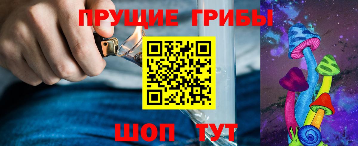 Псилоцибиновые грибы Cubensis Кизилюрт