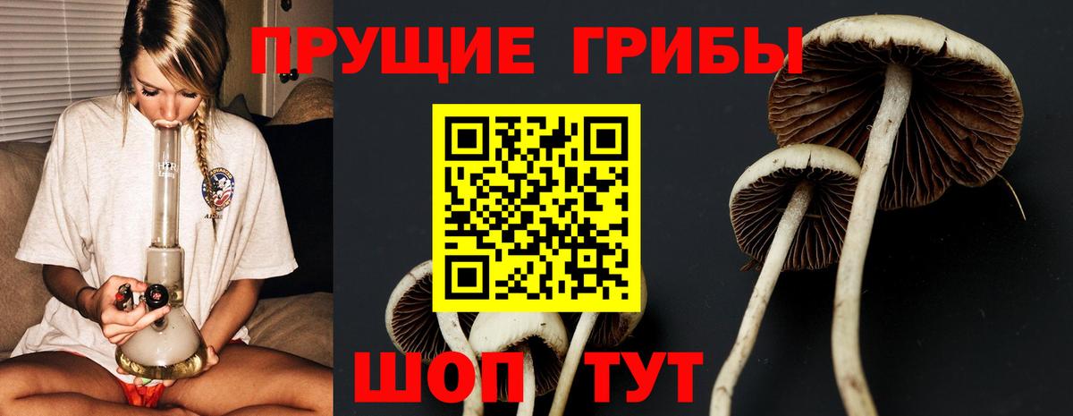Псилоцибиновые грибы MAGIC MUSHROOMS  Вход с VPN  Псилоцибиновые грибы мухоморы  Кизилюрт 