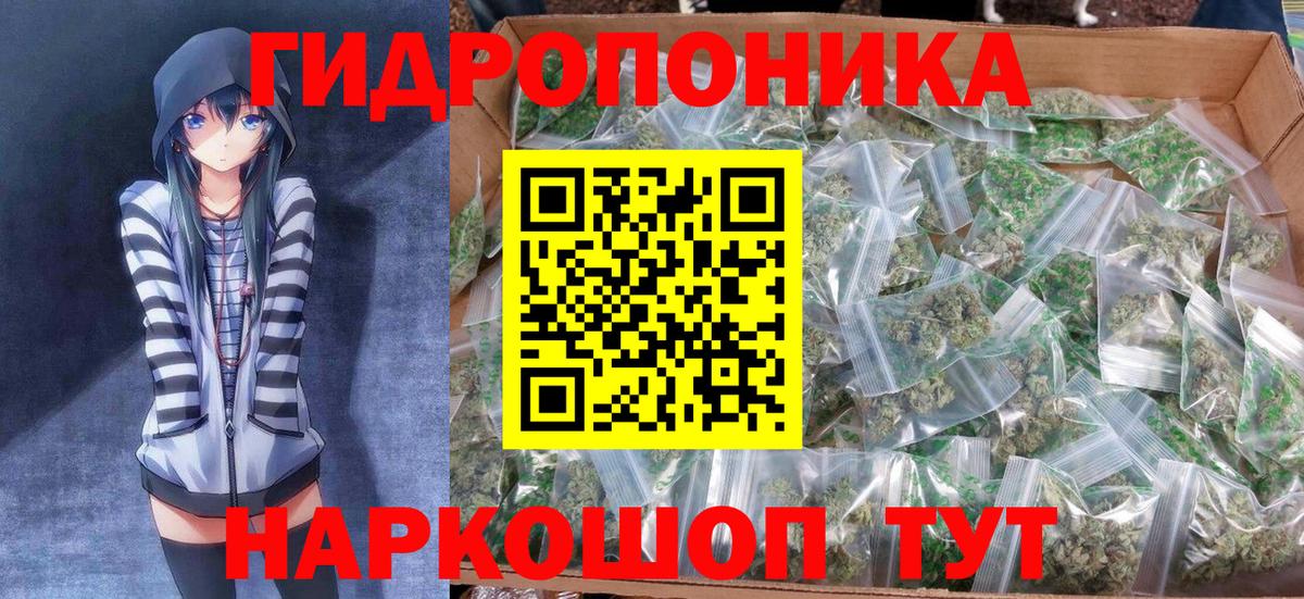 Конопля план  Шишки марихуана семена  Вход с VPN  Бошки Шишки сатива  Кизилюрт 